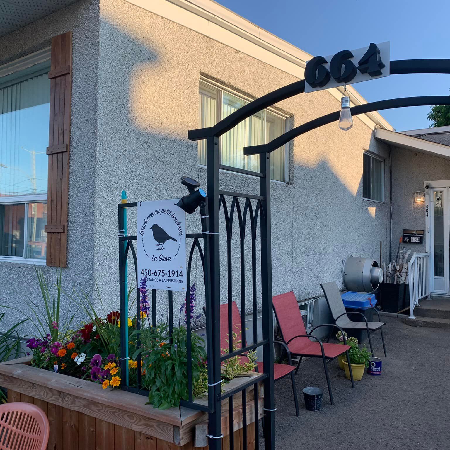 La grive au petit bonheur